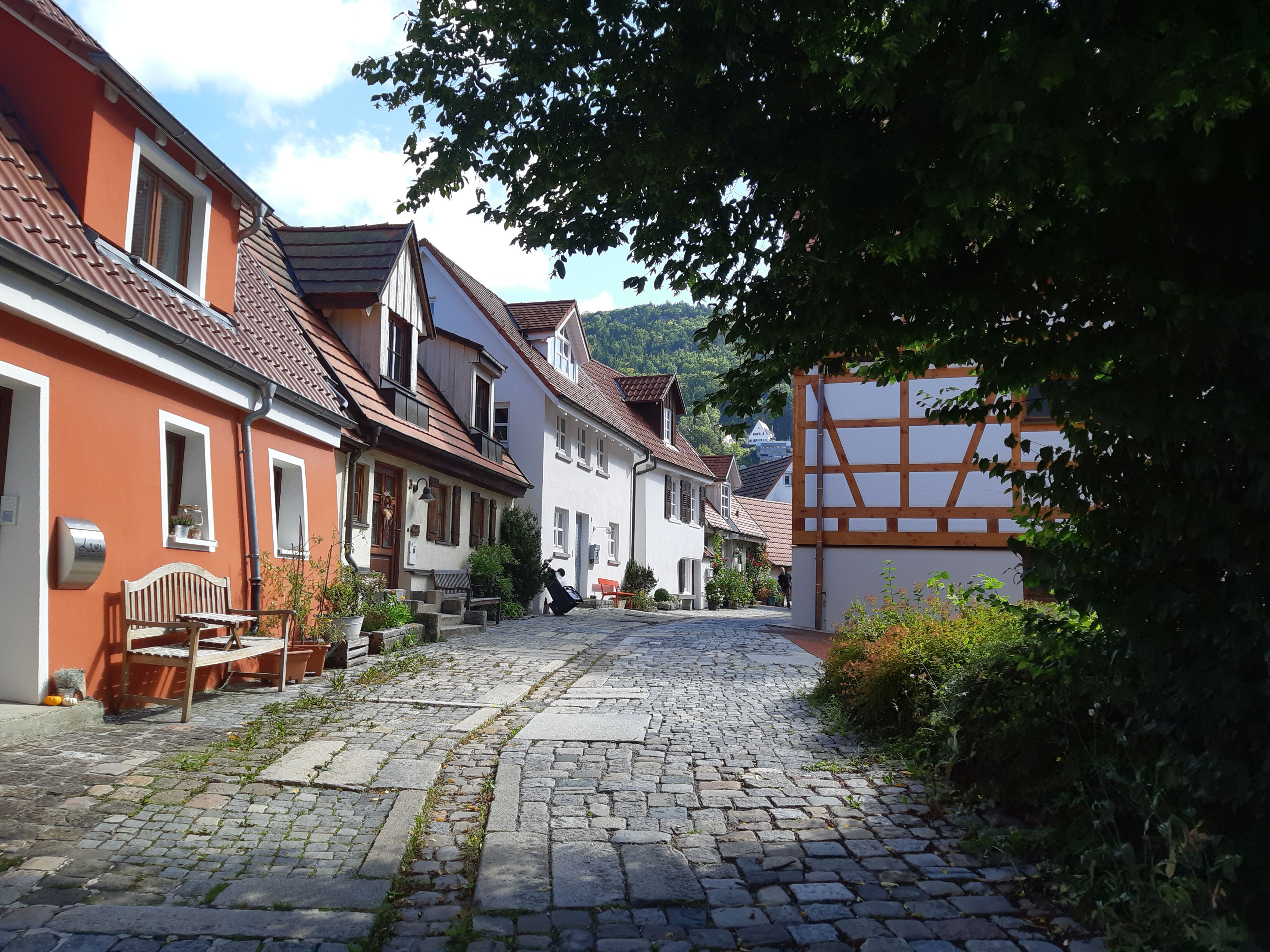 Beratung vor Ort im Vereinsbüro